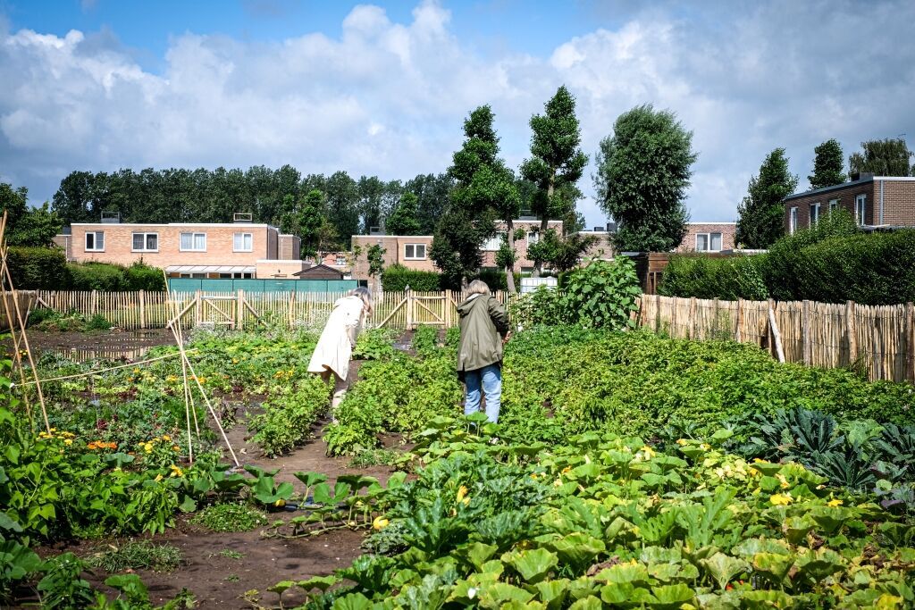 Buurthuis Den 8, Schoonbeek | IKDOEMEE.BE